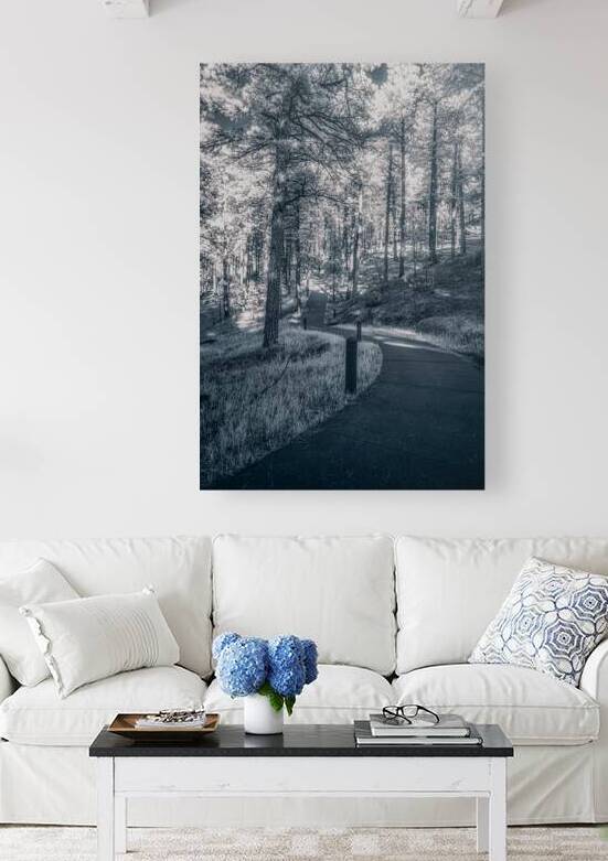 Mount Rushmore: Path Below the Monument in Infrared Magic by Dream World Images