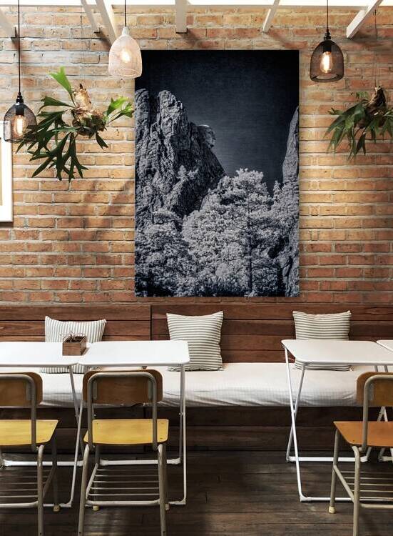 Washingtons Profile in Time by Dream World Images