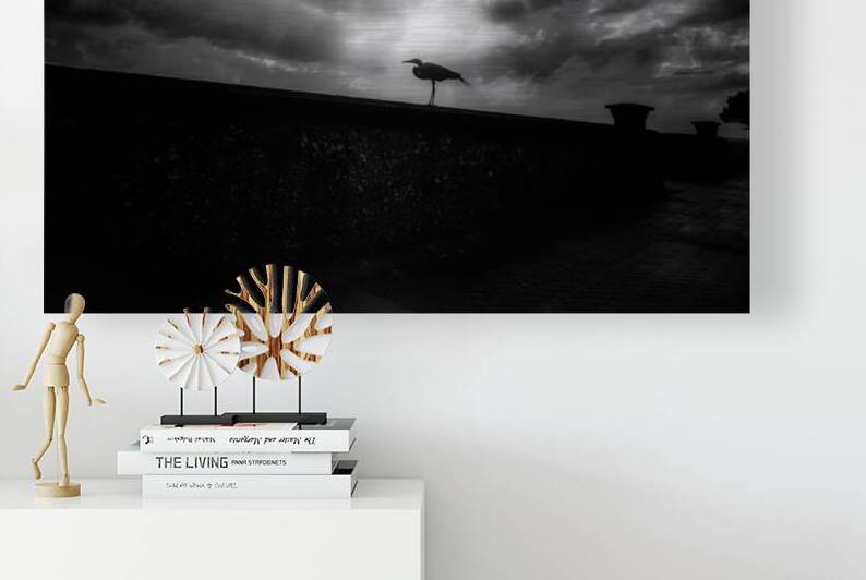 Rainy Day Stroll: Capturing Serenity with a Silhouetted Bird by Dream World Images