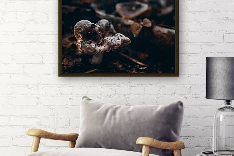 Mystical Fungi: Ring of Mystery Saturnine Mushroom by Dream World Images