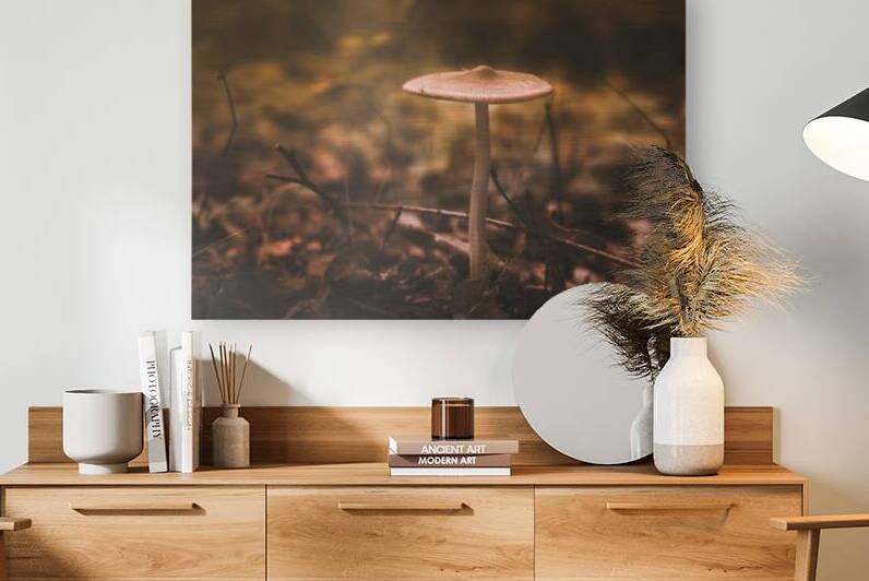 Mystical Fungi: Pale Amidst Sun-Dappled Leaves by Dream World Images