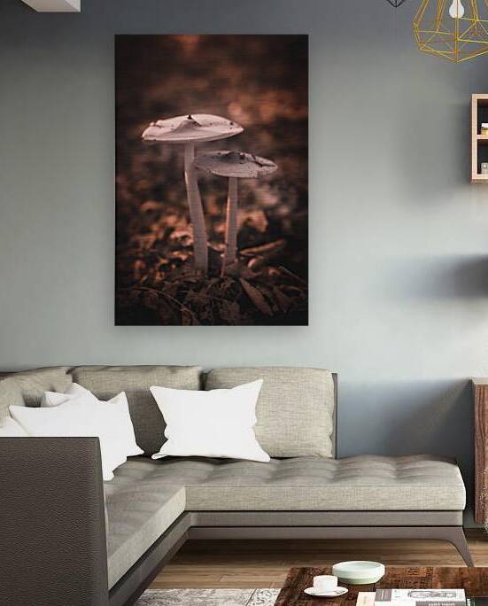 Mystical Fungi: Infrared Shroom in the Magical Landscape by Dream World Images