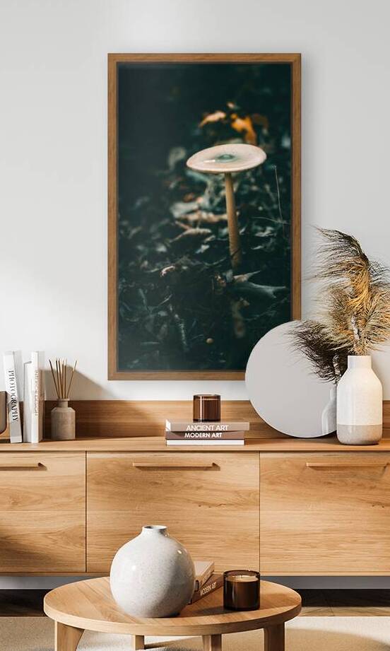 Mystical Fungi: Tallish Towering Over the Forest Floor by Dream World Images