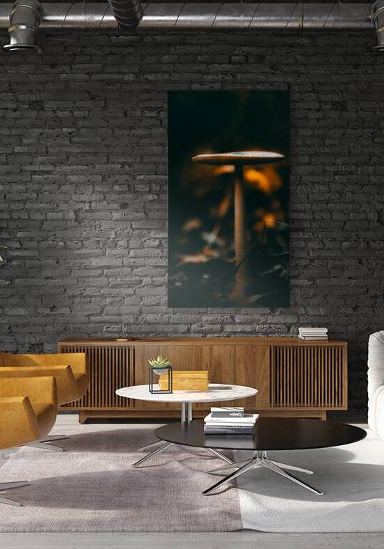 Mystical Fungi: Down Below in the Shady Undergrowth by Dream World Images