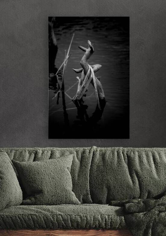 Serene Sylvan Lake: A Tale of Resilience and Reflection by Dream World Images