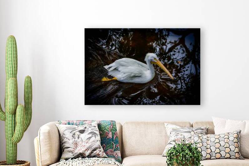 Florida Serenity: A Pelican Making Soft Waves by Dream World Images