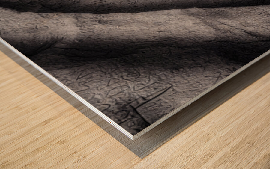 Legacy in Rock: Register Hill Wyoming  Wood print