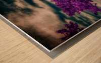 Purple Beach Tree: A Tranquil Portrait of Sunshine Keys Coastal Charm Wood print